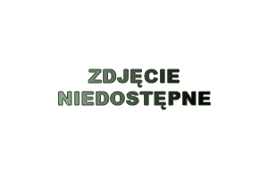 no_image.png